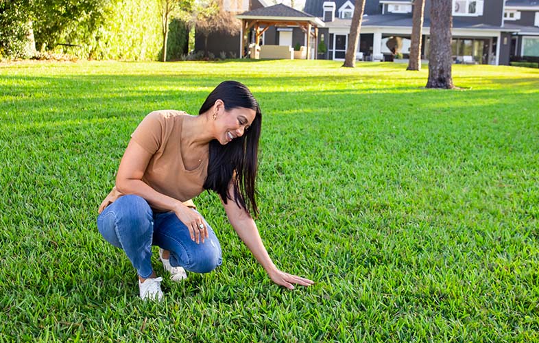 How To Care For Your Lawn During A Drought TruGreen